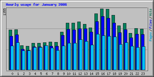 Hourly usage for January 2006